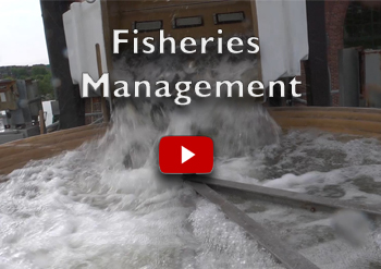 NH Fisheries Management